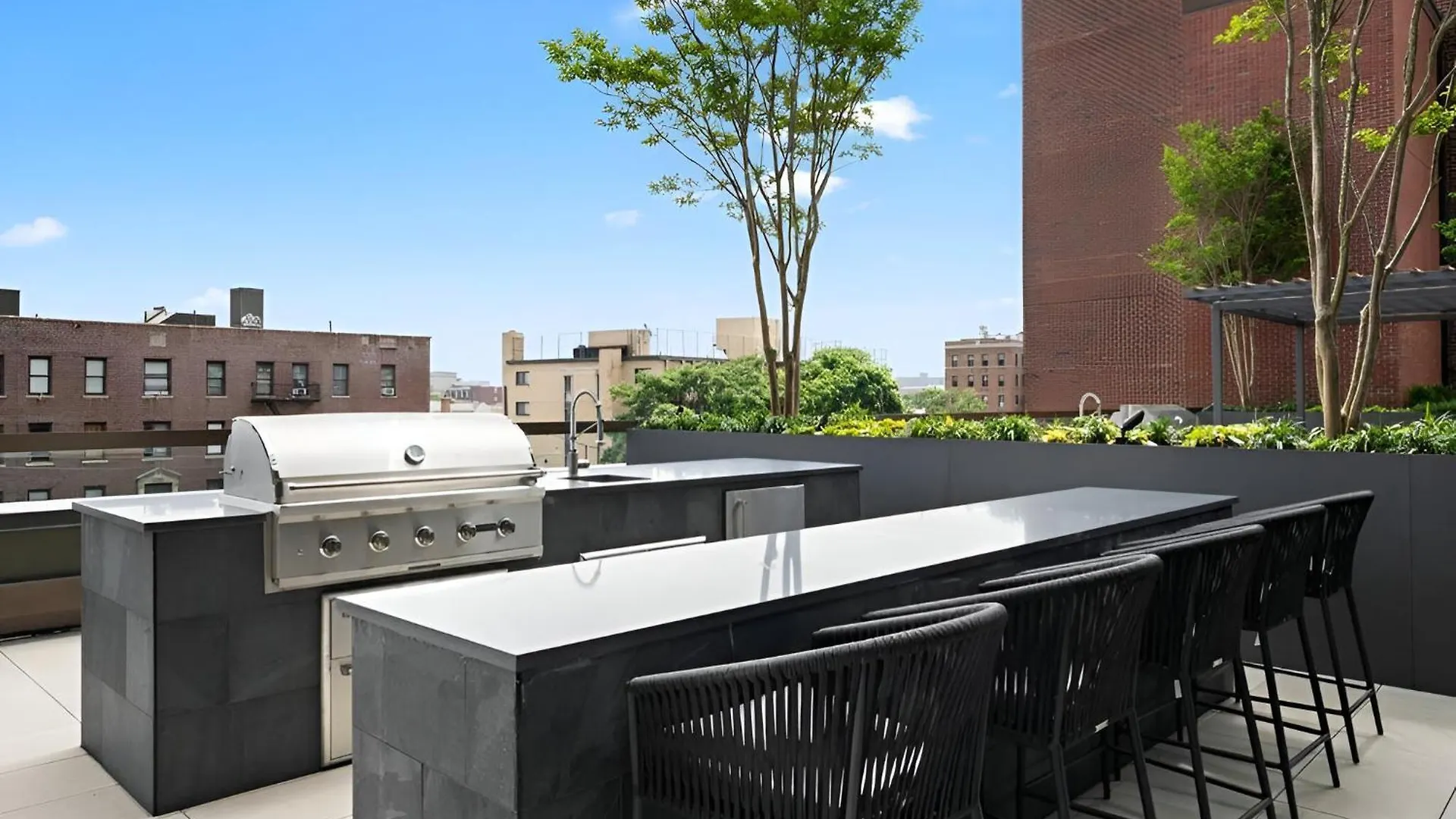 Apartment Discover Brooklyn Where Comfort Meets City Vibes New York